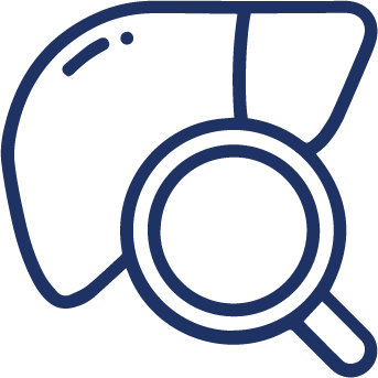 No known drug interactions or liver monitoring